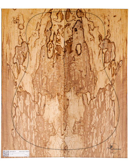 Spalted Beech Set Nº7 Acoustic Guitar MB Exclusive