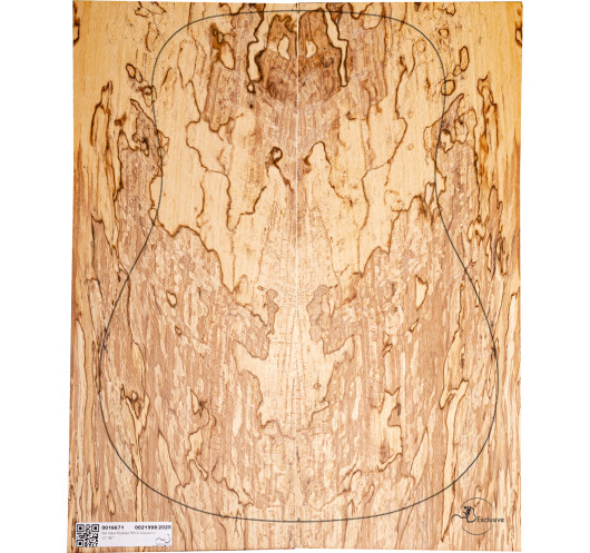 Spalted Beech Set Nº 8 Acoustic Guitar MB Exclusive