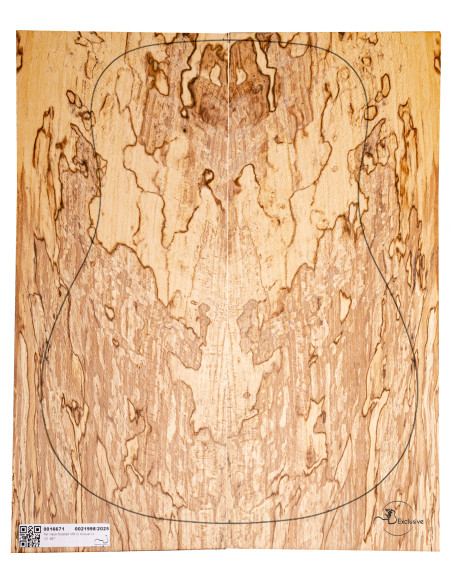 Spalted Beech Set Nº 8 Acoustic Guitar MB Exclusive