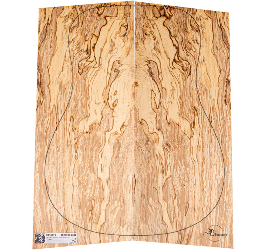 Jeu Hêtre Spalted Nº9 Guitare Acoustique MB Exclusive