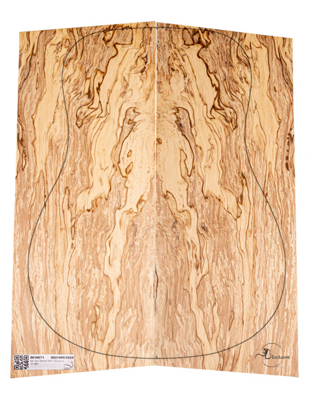 Jeu Hêtre Spalted Nº9 Guitare Acoustique MB Exclusive