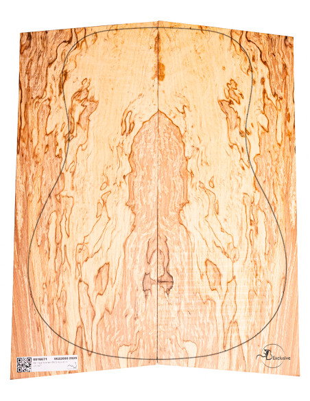 Spalted Beech Set Nº 10 Acoustic Guitar MB Exclusive