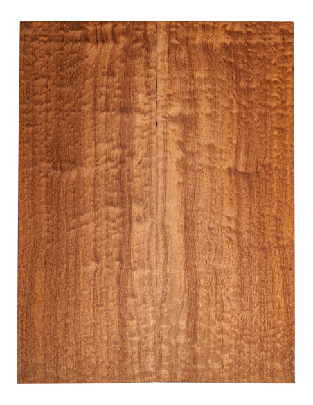 Carved Top Sapelli Pommelé 1ère Guitare/Basse Électrique