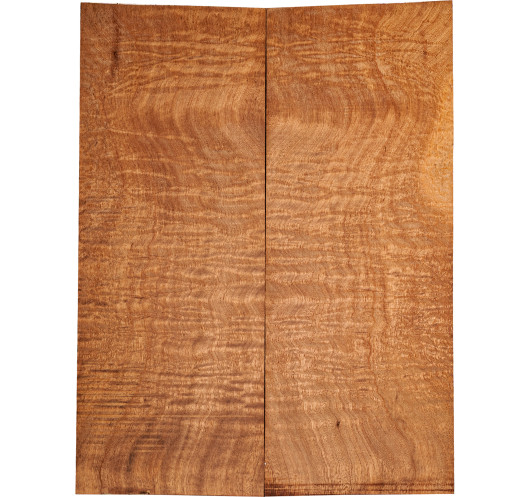 AAA Drop Top Sapele Quilted Bass / Electric Guitar