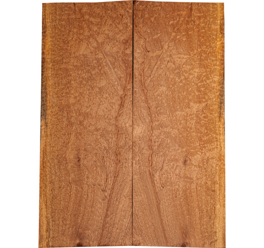 Drop Top Sapelli Quilted 1ª Guitarra / Bajo Eléctrico