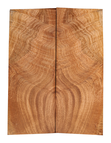 AA Drop Top Sapele Quilted Bass / Electric Guitar | Buy