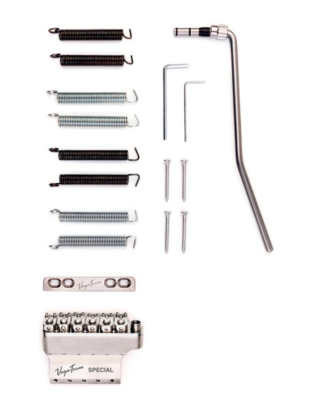 Vega-Trem VT1 Special Standard Brillant pour Guitare Type ST | Maderas Barber