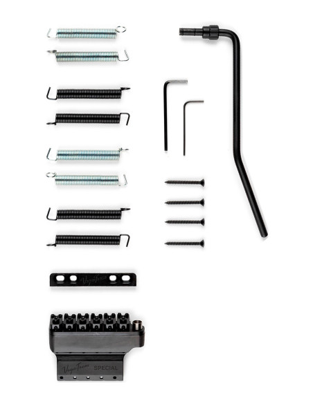 Vega-Trem VT1 Special Standard Noir pour Guitare Type ST | Maderas Barber