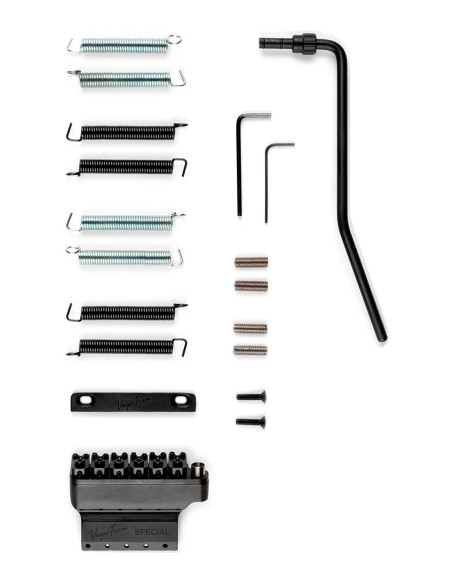 Vega-Trem VT1 Special 2-Point Black Tremolo for ST-Style Guitars | Maderas Barber