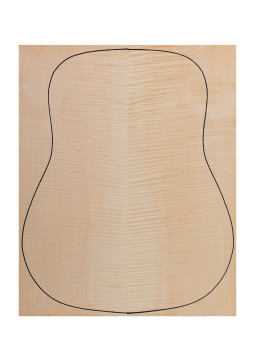Plywood Maple + Sycamore acoustic guitar back