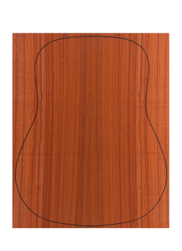 Back Padouk Outer Face 0,6 mm. + Sapele Inner Face (550x400x2,2/2,4 mm.)