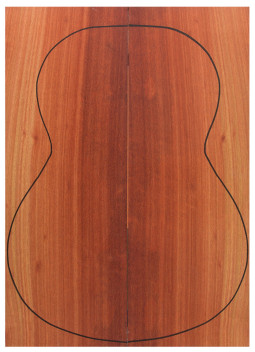 Fondo Bloodwood