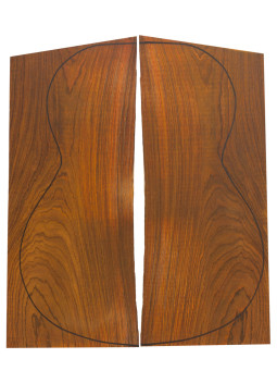 Cocobolo 1ª