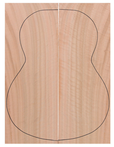 Curly Eucalyptus Back (550x200x4 mm) x2