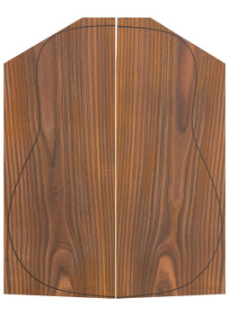 Cocobolo 1ª