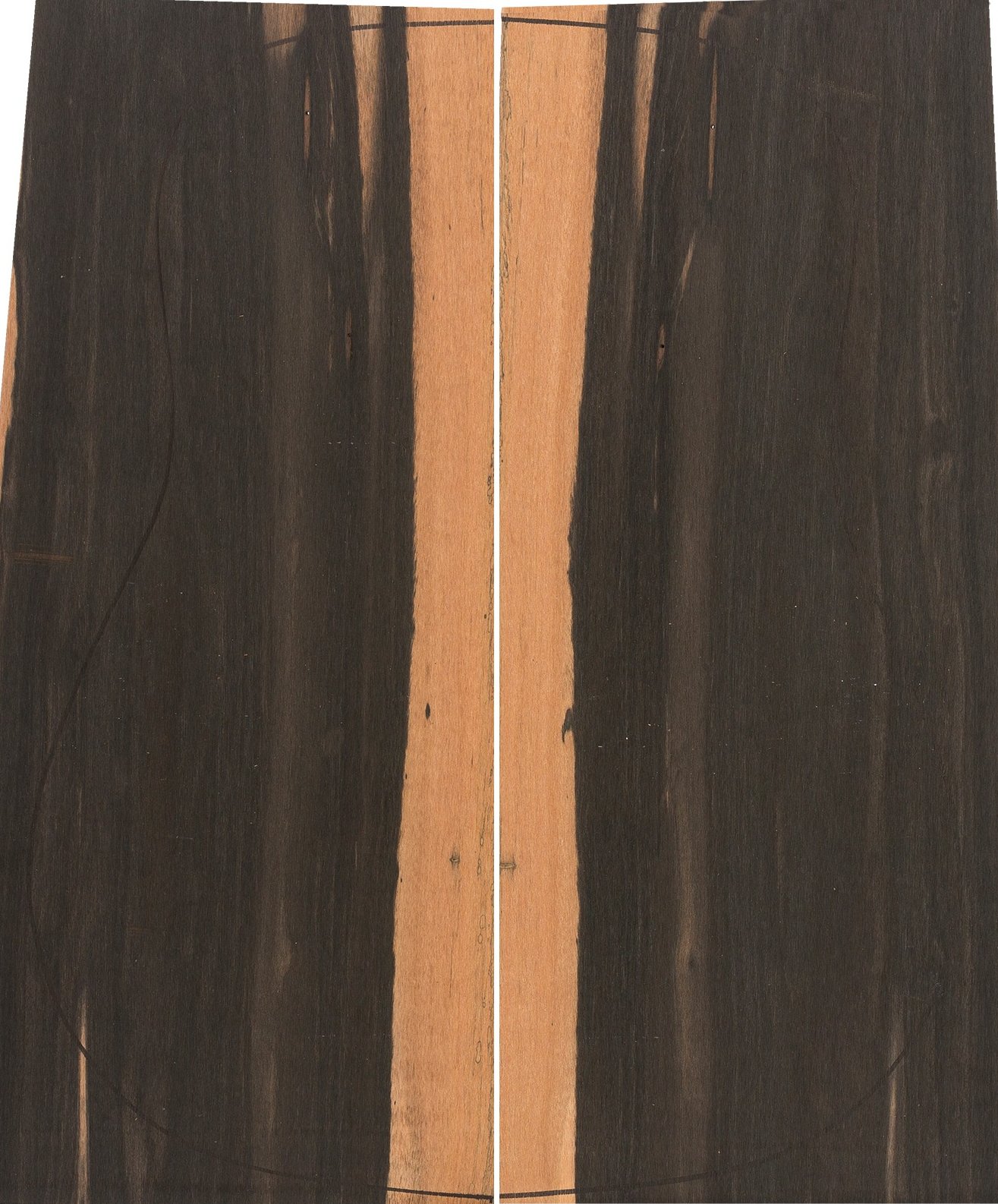 A Exotic Ebony Acoustic Guitar Backs