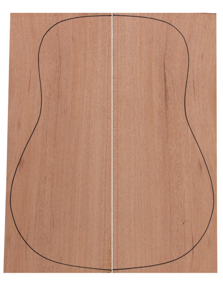 Samanguila guitarra