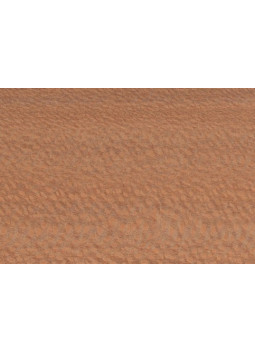 Restos Brazilian lacewood