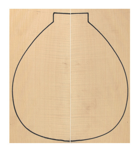 Curly Maple Backs (400x160x4 mm)x2