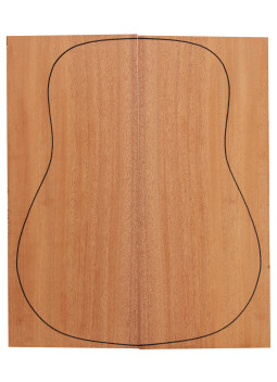 Samanguila guitarra