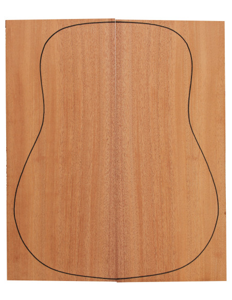 Samanguila guitarra