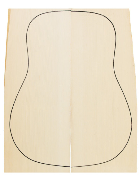 Abeto Engelmann Especial
