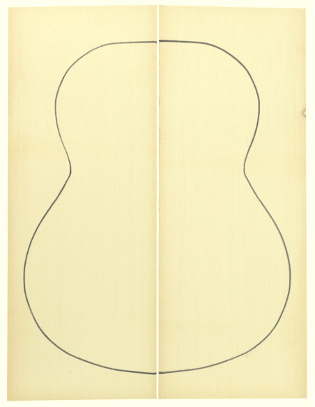 Abeto Engelmann 2ª