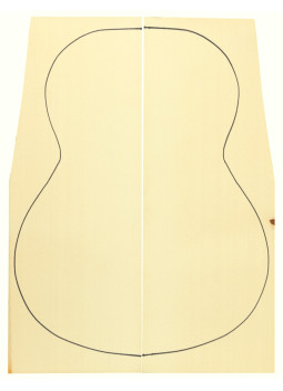 Abeto Engelmann Especial