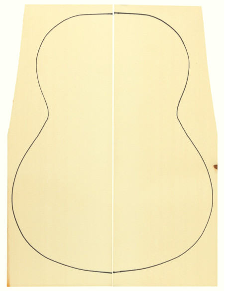 Abeto Engelmann Especial