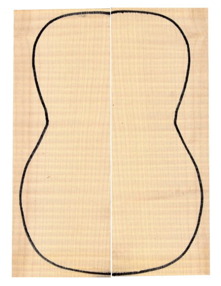 Curly Maple Backs (255x90x3mm)x2