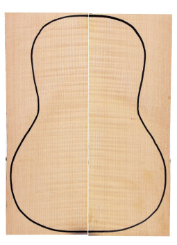 Curly Maple Back (360x130x4 mm)x2