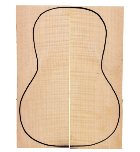 Curly Maple Back (360x130x4 mm)x2