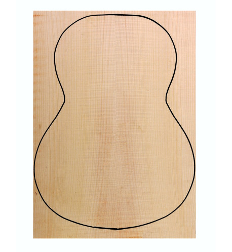 Fond Contreplaqué Érable Ondé 0,6 mm + Sycomore Guitare Classique
(550x400x2,2/2,4mm.)x2