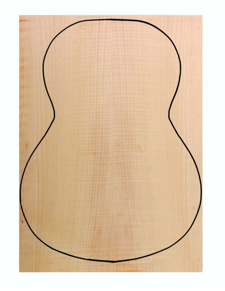 Fond Contreplaqué Érable Ondé 0,6 mm + Sycomore Guitare Classique
(550x400x2,2/2,4mm.)x2