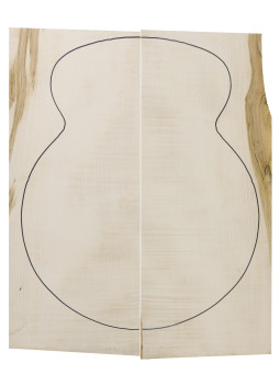 AA Curly Maple Backs 600x230x25/8 mm) x2
