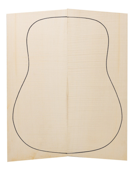 Arce Rizado fondo guitarra