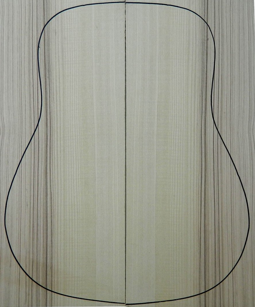Ash Back Acoustic Guitar