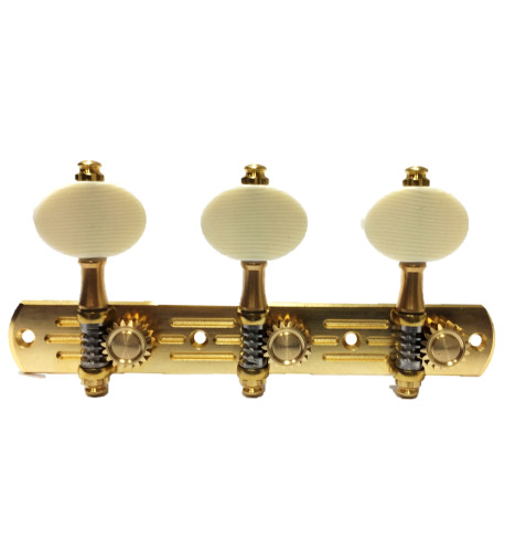 Clavijero 676