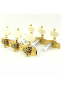Clavijero Gotoh 35G510P-P