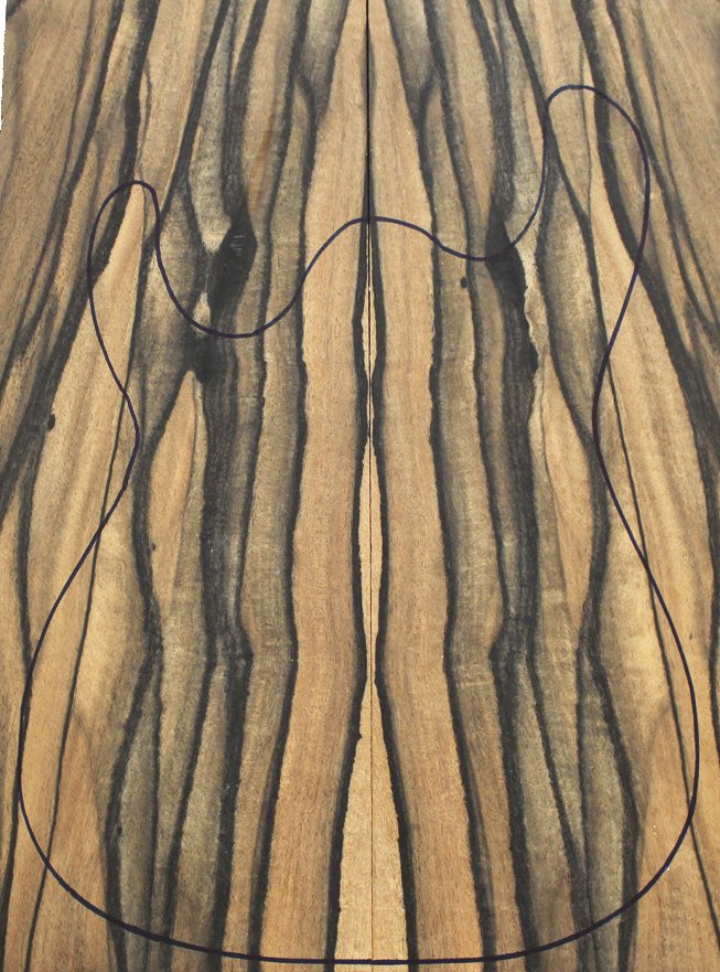 Exotic Ebony Drop Top for Electric