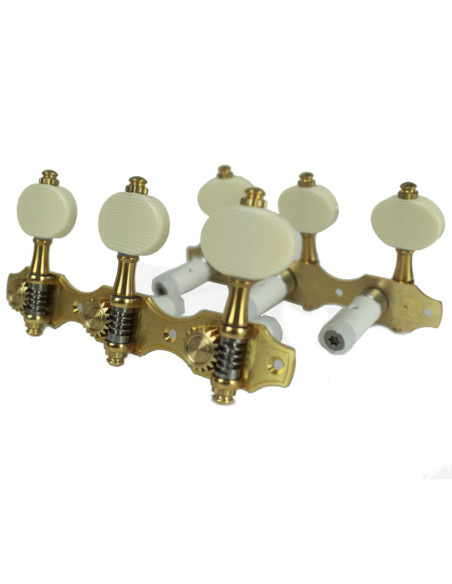 Clavijero Perona 677 Ivoroid