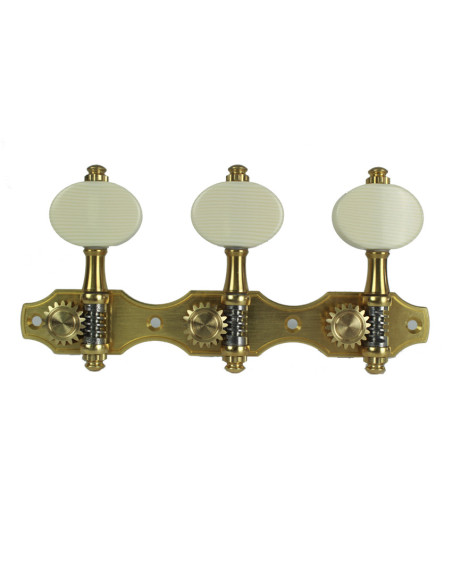 Clavijero Perona 677 Ivoroid