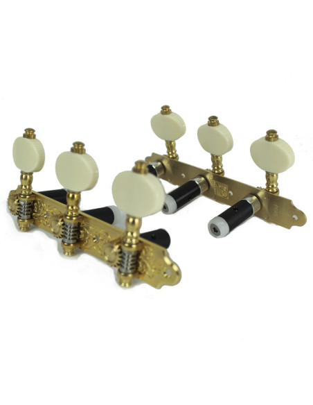 Clavijero Perona 641 Ivoroid