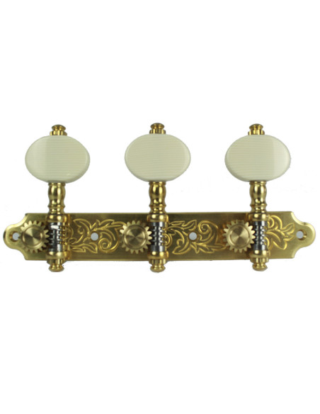 Clavijero Perona 641 Ivoroid