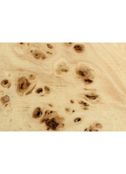 Madera de Lupa de Chopo para torno