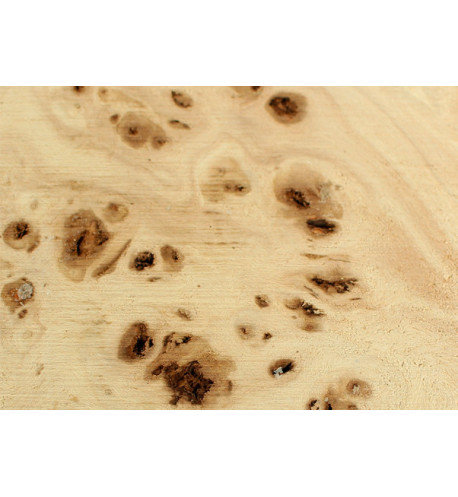 Burl Poplar wood for lathe