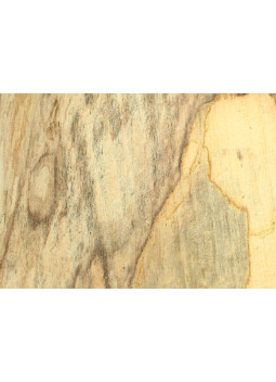 Spalted Beech wood for lathe