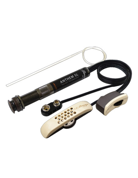 L.R.Baggs Anthem Sl Acoustic with a Microphone Pickup