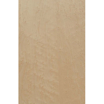 Birdseye Maple