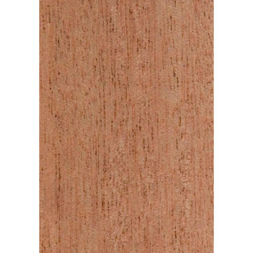 Samanguila